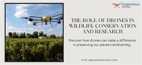 The Role Of Drones In Wildlife Conservation And Research