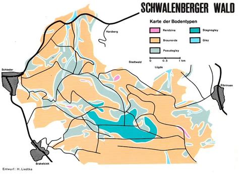 Kinder Lippe Schwalenberg Boden