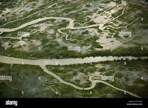 River Delta