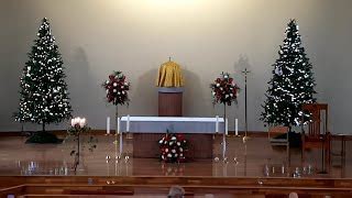 Christmas Trees Altar Our Lady Of Lourdes