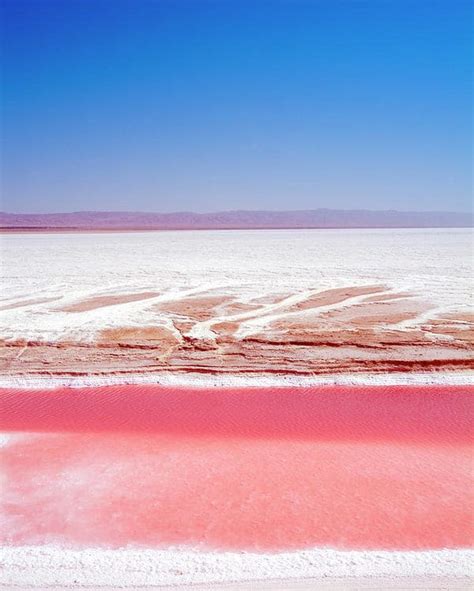 Chott-el-Jérid-Salted-Lake-by-Nico-Tondini – PROMOSTYL