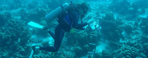 What does an oceanographer do?