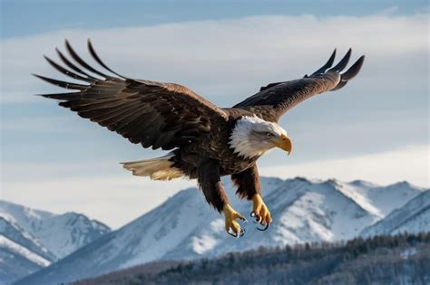 Premium Photo Majestic Bald Eagle Flying Over Forest