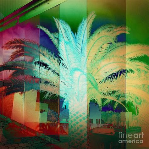 Palm Tree Digital Art By Xavier Pacqueteau Fine Art America