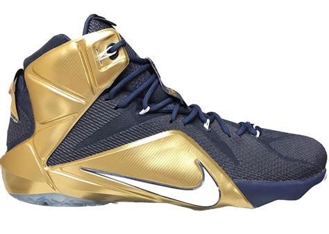 Nike Lebron 12 Akron Pe Swappa