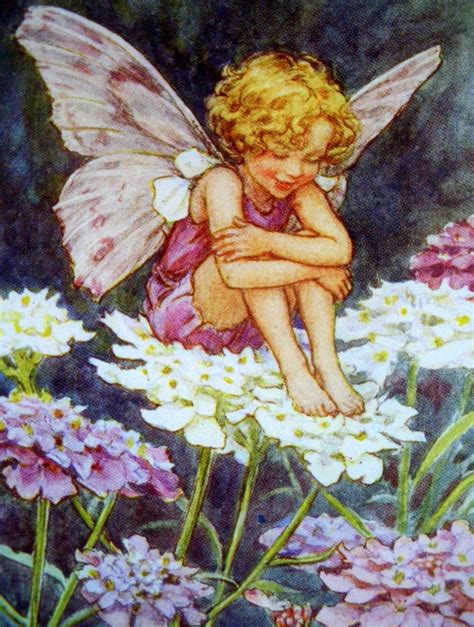 The Candy Tuft Fairy By Cicely Mary Barker Cicely Mary Barker Fantasy