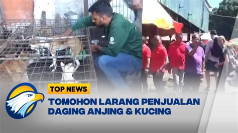 Pasar Di Tomohon Resmi Larang Penjualan Daging Anjing Kucing YouTube