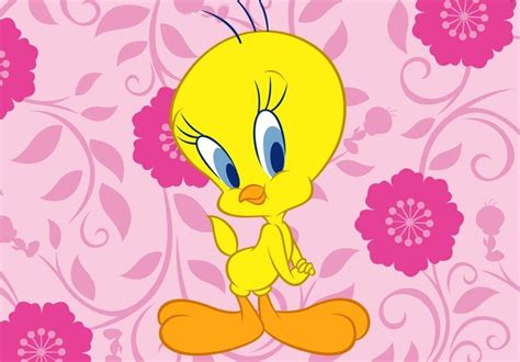 KIDS COM AMOR: PAPEL DE PAREDE COMPUTADOR