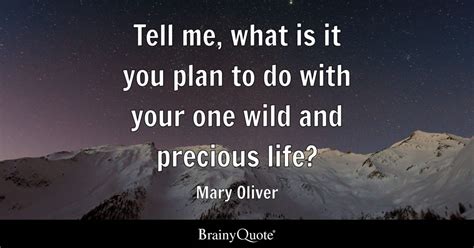 Tell Me What Is It You Plan To Do With Your One Wild And Precious Life