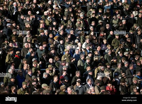 Racegoers Watch From The Princess Royal Grandstand At Cheltenham