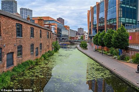 Birmingham S Canals Turn Into A Bright Green Swamp As Duckweed