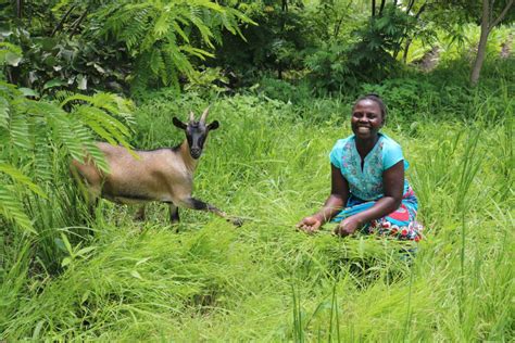 Cultivating A Savings Culture In Malawi Orant Charities Africa