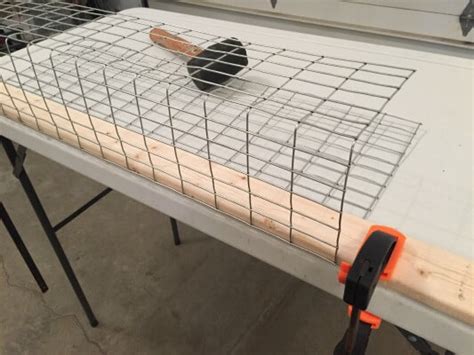 Making A Muskrat Colony Trap