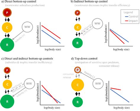 Hypothesized Mechanisms Controlling Food Web Responses To Wastewater