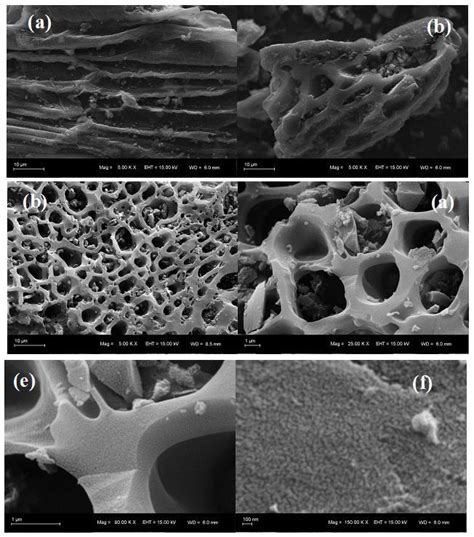 Sem Micrographs Of A B The Biochar And C De F Ac Rh Download Scientific Diagram