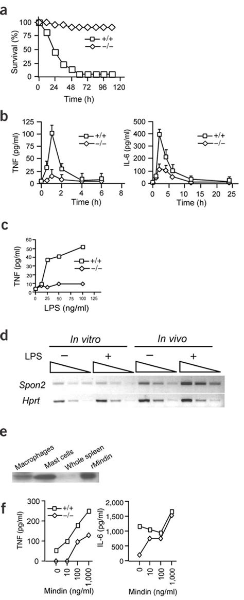 Mindin Deficient Mice Are Resistant To Lps Induced Septic Shock A