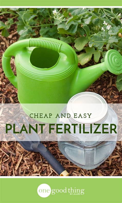 Learn How To Make A Great Homemade Fertilizer To Feed Your Plants And