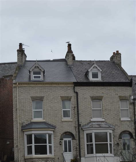 Esk Terrace - Whitby - Waring & Co Renovations