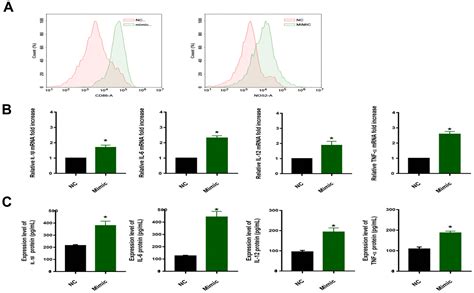 MiR 33a 5p In Stored Red Blood Cells Regulates Genes Of Innate Immune