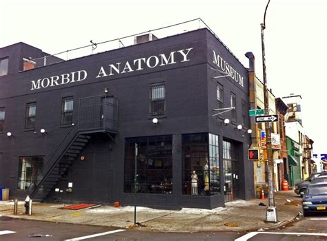 Emergency Fundraising Cant Revive Brooklyns Quirky Morbid Anatomy Museum