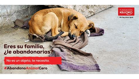 Abandono de mascotas en España últimas cifras y cómo combatirlo Pets