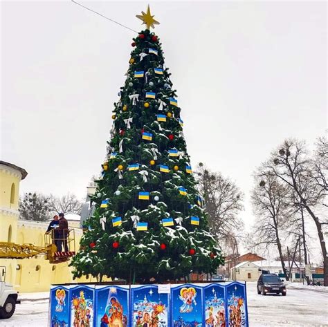 Invincible Christmas trees: how Ukrainian cities prepare for holidays ...