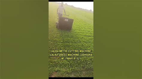 Lalka Kasuri Methi Cutting Machine मेथी काटने की मशीन Lalka Grass Machine M 7986981521