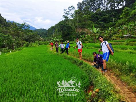 Operator Hiking Dan Trekking Di Sentul Pramuwisata Certified Bnsp