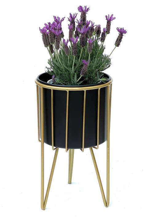 Dandibo Blumenhocker Mit Topf Metall Gold Schwarz Rund M Cm