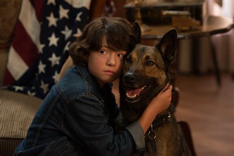 Max 2: Blu-ray, 4K UHD, DVD leihen - VIDEOBUSTER