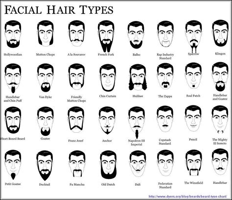 Facial Hair Types Diagram Haircut Names For Men Names Of Haircuts