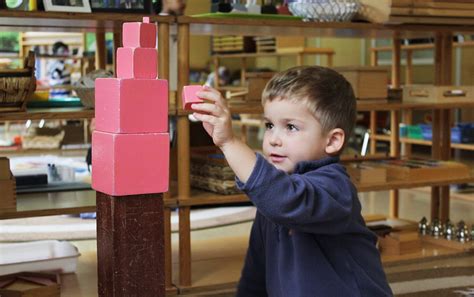 Montessori Education An Idea Whose Time Has Come From The Summer 2021 Issue Of Montessori Life