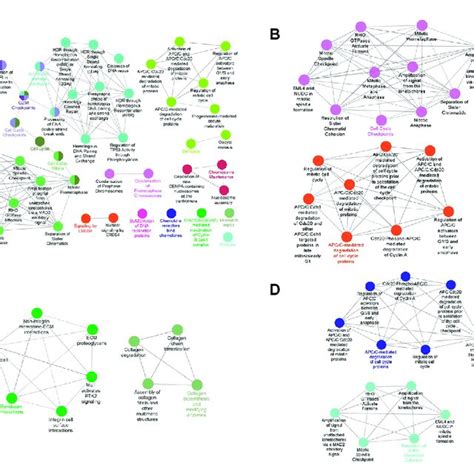 Pathway Enrichment Analysis Of Clustered Genes Interconnected And Download Scientific Diagram