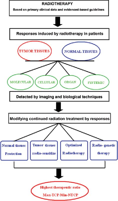 Figure From Strategies To Optimize Radiotherapy Based On Biological