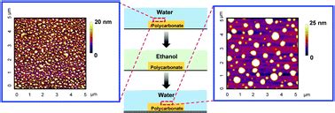 Effect Of Surface Modification On Interfacial Nanobubble Morphology And