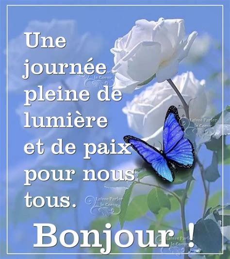 ᐅ 98 Bonjour images photos et illustrations pour whatsapp Photo