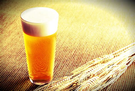 Os benefícios da cerveja para sua saúde MAIS Influente Business