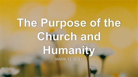 The Purpose Of The Church And Humanity Sermon By Sermon Research