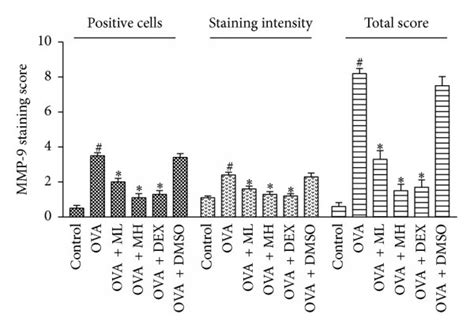 Treatment With Morin Reduced Inflammatory Cells Infiltration Goblet