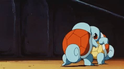 Pokemon Squirtle Pokemon Squirtle Clone Discover Share Gifs