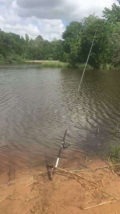 Wolf Creek Lake Palestine Tx 29 Youtube