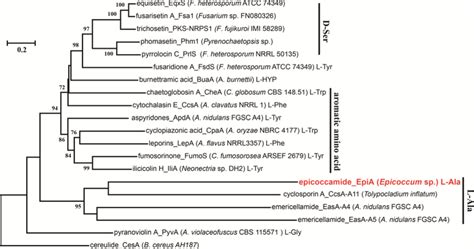 Phylogenetic Tree Of Fungal Adenylation Domain Signature Sequences