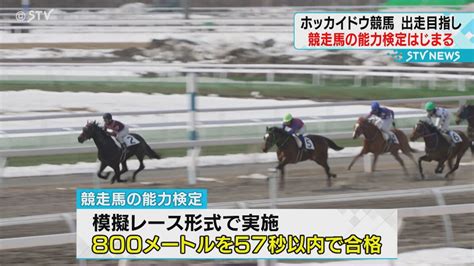 優駿デビュー近しホッカイドウ競馬能力検定はじまる 2歳馬およそ150頭が“合格”出走へ（2024年3月22日掲載）｜stv News Nnn