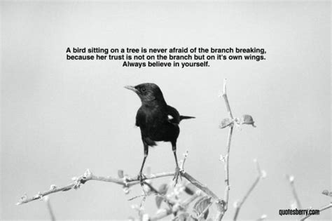 A Bird Sitting On A Tree Is Never Afraid Of The Quotesberry