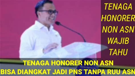 Honorer Non Asn Bisa Diangkat Pns Tanpa Menunggu Ruu Asn Simak Info