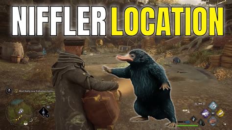 Crying Niffler Hogwarts Legacy At Walter Coy Blog