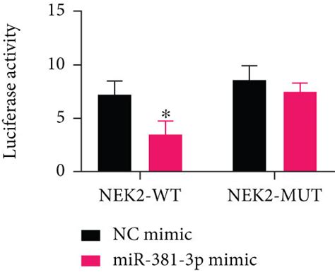 Snhg Regulates The Expression Of Nek Through Sponge Mir P A