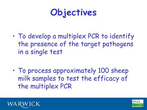 Ppt Development And Use Of A Multiplex Pcr To Detect Common Mastitis