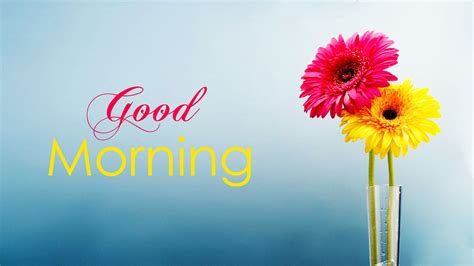 Morning Wallpapers - Top Free Morning Backgrounds - WallpaperAccess