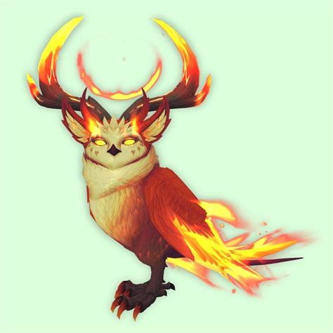 Fiery Spirit Somnowl Pet Look Petopia Hunter Pets In The World Of